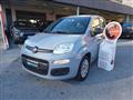 FIAT PANDA 1.2 Easy - 05/2019 - 66.600 KM. UNICOPROPRIETARIO