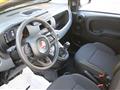 FIAT PANDA 1.0 FireFly S&S Hybrid Pandina