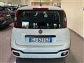 FIAT PANDA CROSS Panda Cross 1.0 FireFly S&S Hybrid