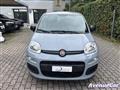 FIAT PANDA 1.0 firefly hybrid ADATTA PER NEOPATENTATI IVA ESP