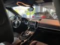 PORSCHE CAYENNE 3.0 Diesel Platinum Edition 250cv Tiptronic