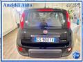 FIAT PANDA 1.0 FireFly 70 Cv Hybrid Pack City