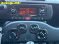 FIAT PANDA 1.2 Easy  70CV  ANCHE PER NEOPATENTATI