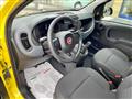 FIAT PANDA 1.0 FireFly S&S Hybrid - KM0