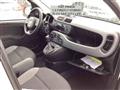 FIAT Panda 1.0 firefly hybrid City Life s&s 70cv 5p.ti