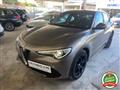 ALFA ROMEO STELVIO 2.2 Turbodiesel 190 CV AT8 RWD Business