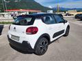 CITROEN C3 BlueHDi 100 S&S Shine