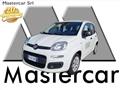 FIAT PANDA 1.2 POP NEOPATENTATI FR812NY