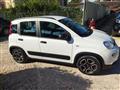 FIAT PANDA 1.0cc HYBRID CITY LIFE 70cv