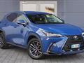 LEXUS NX Hybrid 4WD Premium