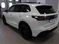 VOLKSWAGEN TIGUAN 2.0 TDI 150 CV SCR DSG R-Line