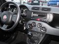 FIAT Panda 1.0 firefly hybrid s&s 70cv 5p.