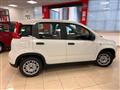 FIAT PANDA 1.0 FireFly S&S Hybrid SENZA FINANZIAMENTO