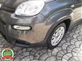 FIAT PANDA 1.0 FireFly S&S Hybrid OK NEOPATENTATI-  -