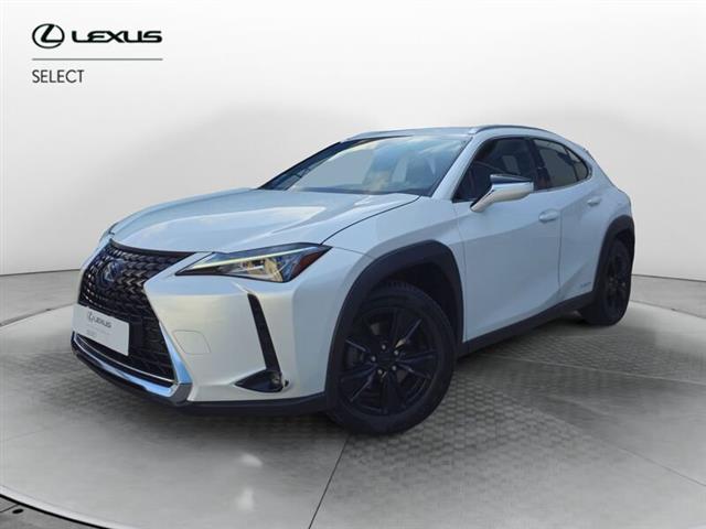 LEXUS UX Hybrid Business