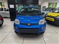 FIAT PANDA 1.0 FireFly S&S Hybrid con promo "PANERO PLUS"