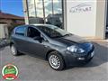 FIAT PUNTO 1.2 8V 5 porte Lounge - PER NEOPATENTATO -