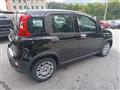 FIAT PANDA 1.0 Pandina Hybrid - KM.ZERO - PRONTA CONSEGNA