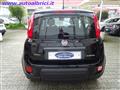 FIAT PANDA 1.0 FIREFLY 70 CV S&S HYBRID KM0