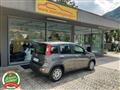 FIAT PANDA 1.0 FireFly S&S Hybrid OK NEOPATENTATI-  -