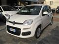 FIAT PANDA 1.2 PANDAZZURRI GPL