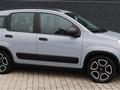 FIAT PANDA 1.0 FireFly S&S Hybrid super