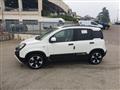 FIAT PANDA 1.0 FireFly S&S Hybrid Pandina