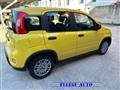 FIAT PANDA PANDINA 1.0  Hybrid  KM  0