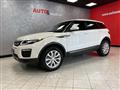 LAND ROVER RANGE ROVER EVOQUE 2.0 eD4 5p. Business