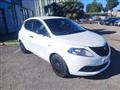 LANCIA YPSILON 1.2 69 CV 5 porte GPL Ecochic