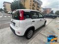 FIAT PANDA 1.0 Hybrid NEOPAT. GARANZIA