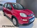 FIAT PANDA 1.0 FireFly S&S Hybrid+NEW PACK CITY Km.0