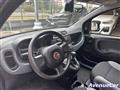 FIAT PANDA 1.0 firefly hybrid ADATTA PER NEOPATENTATI IVA ESP