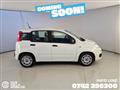 FIAT PANDA 1.0 FireFly S&S Hybrid - Ok Neopatentati