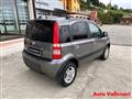 FIAT PANDA 1.2 4x4 Adventure