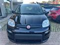 FIAT PANDA 1.0 FireFly S&S Hybrid +pack