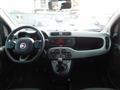 FIAT PANDA 1.0 FireFly S&S Hybrid City Life NEOPATENTATI