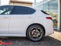 ALFA ROMEO STELVIO 2.0 Turbo 280 CV AT8 Q4 Veloce