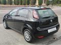 FIAT Punto 1.2 8V 5p. Lounge