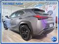 LEXUS UX Hybrid Business