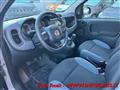 FIAT PANDA 1.2 Easy NEOPATENTATI