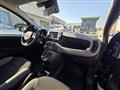 FIAT PANDA 1.0 FireFly S&S Hybrid Sport NEOPATENTATI PERMUTE