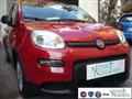 FIAT PANDA 1.0 FireFly S&S Hybrid Pandina Urban Radio Km 0