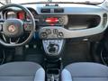 FIAT PANDA 1.2 69CV S&S E6D-TEMP EASY*24M.G.*5POSTI*U-CONNECT