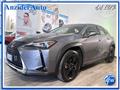 LEXUS UX Hybrid Business