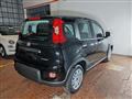 FIAT PANDA 1.0 Hybrid 70cv 36 Rate da 177,95