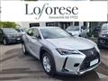 LEXUS UX Hybrid Business