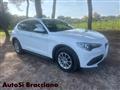 ALFA ROMEO STELVIO 2.2 Turbodiesel 160 CV AT8