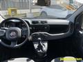 FIAT PANDA 1.0 FireFly S&S Hybrid OK NEOPATENTATI