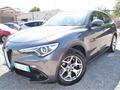 ALFA ROMEO Stelvio 2.2 T.diesel 190 CV AT8 Q4 Bus.